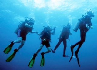 Plongee sous marine pour les CE.jpg